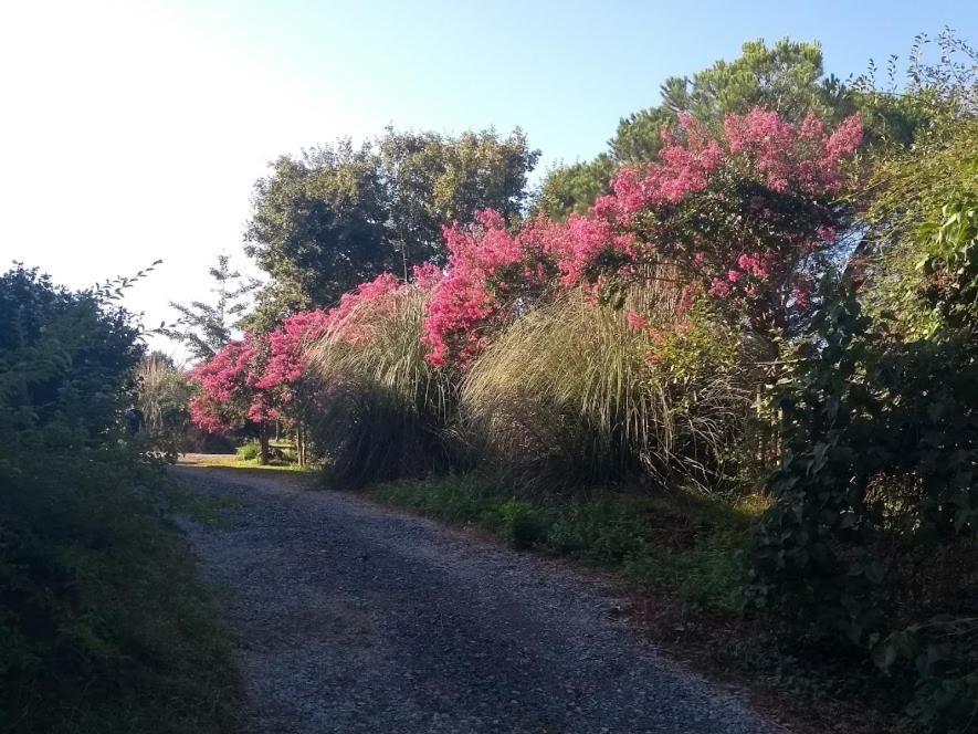 Вилла Domaine Oustau Cassou Chez Yanou Et Yanetto Sevignacq Экстерьер фото